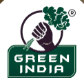 Green India Rice Millers & Exporters